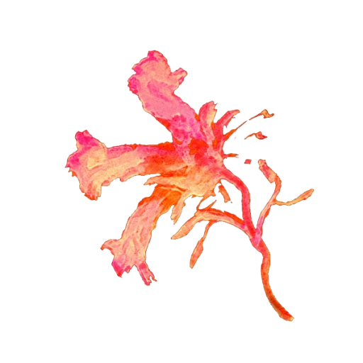Arthimsa
