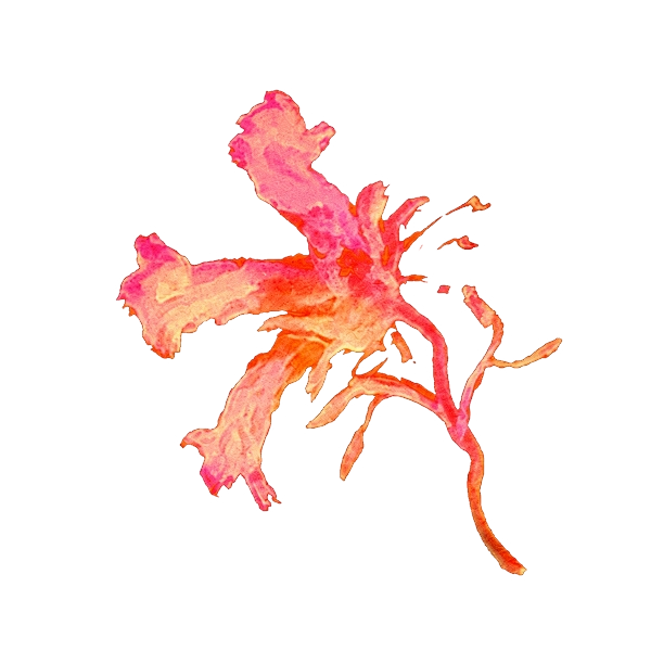 Arthimsa